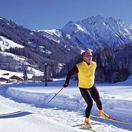 Der Pinzger 호텔 3*